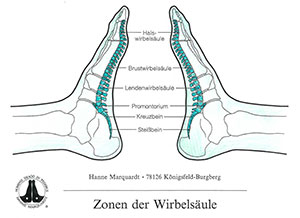 Marquardt Bild